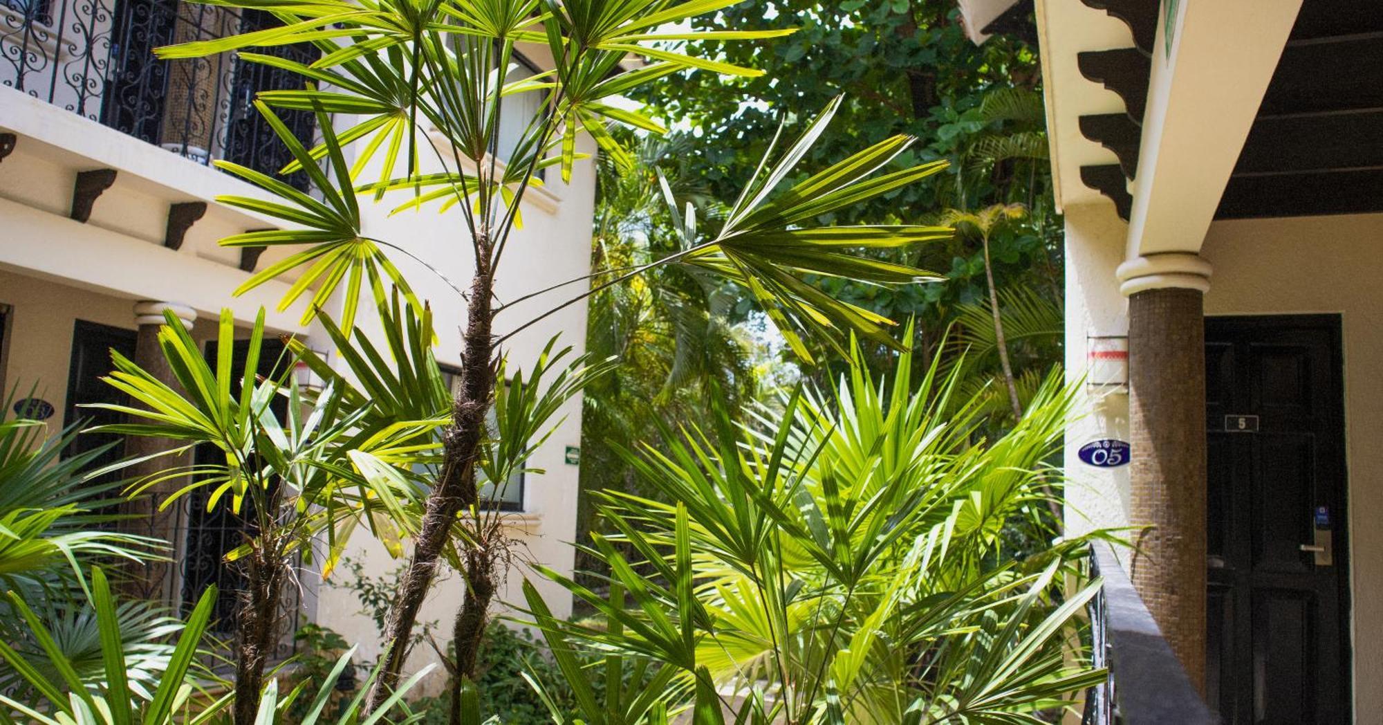 Nina Hotel Playa Del Carmen Eksteriør bilde